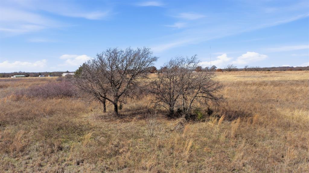 Nickell School Oaks - Land