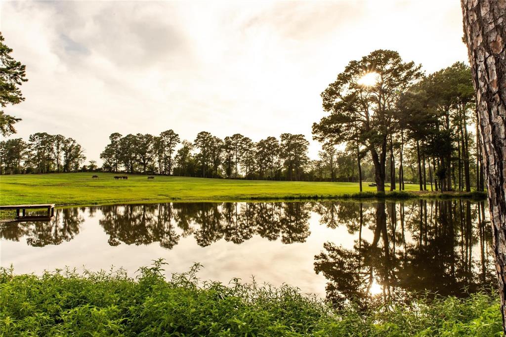 acreage - Farm