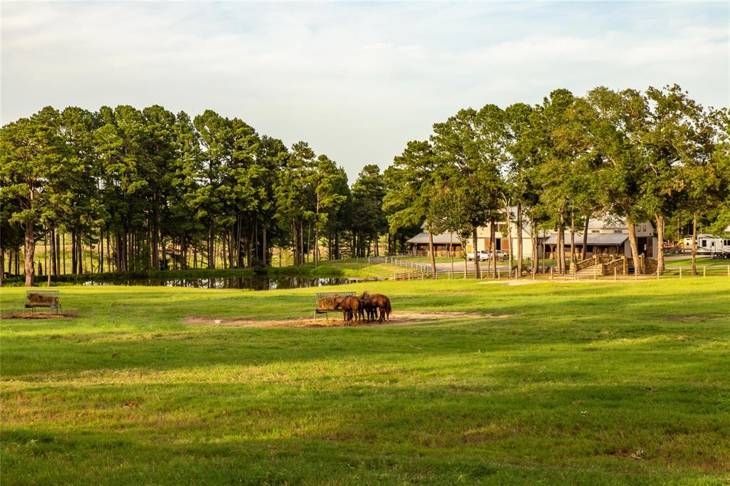 acreage - Farm