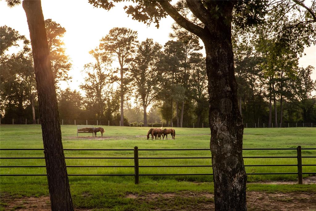 acreage - Farm