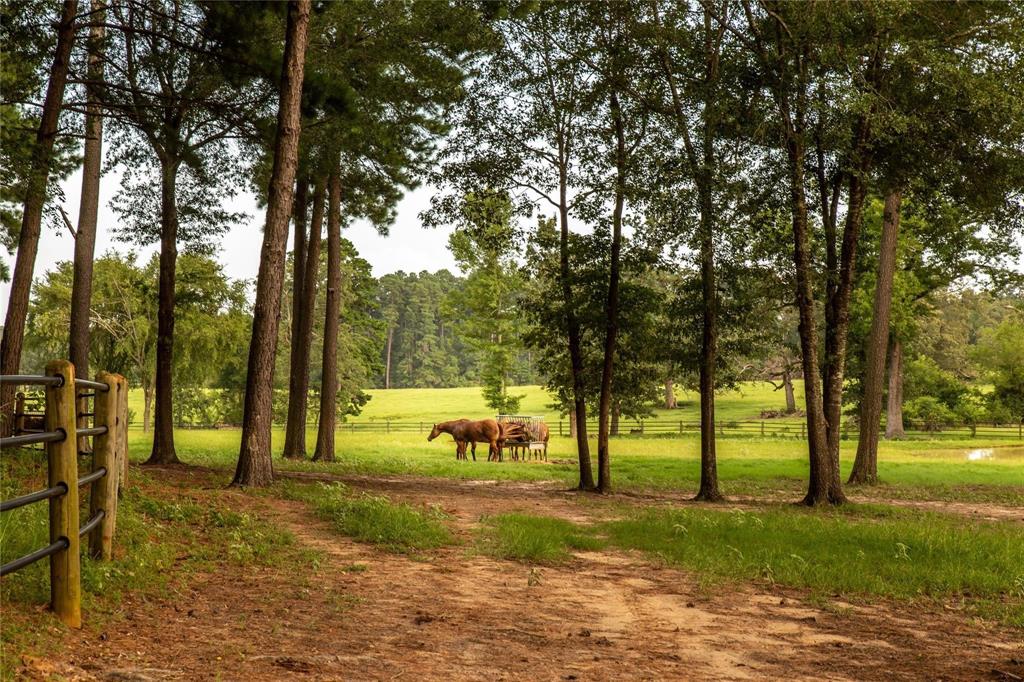 acreage - Farm