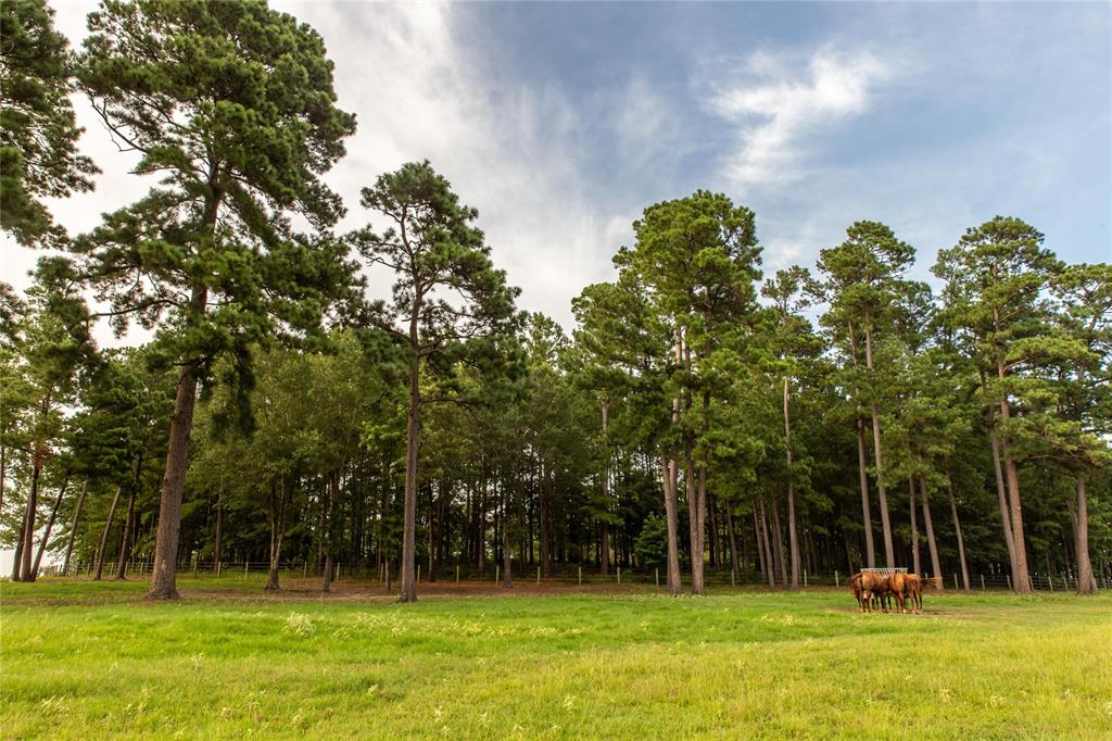acreage - Farm
