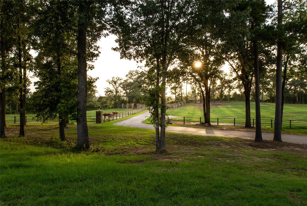 acreage - Farm