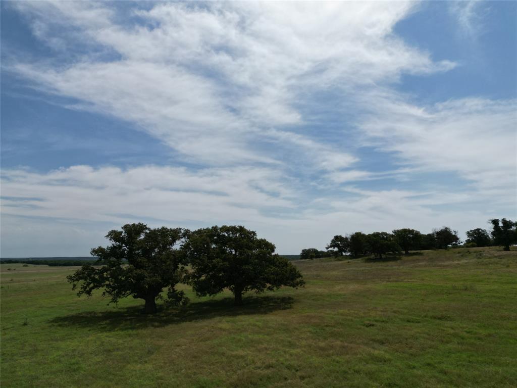 Kaufman CSL - Land
