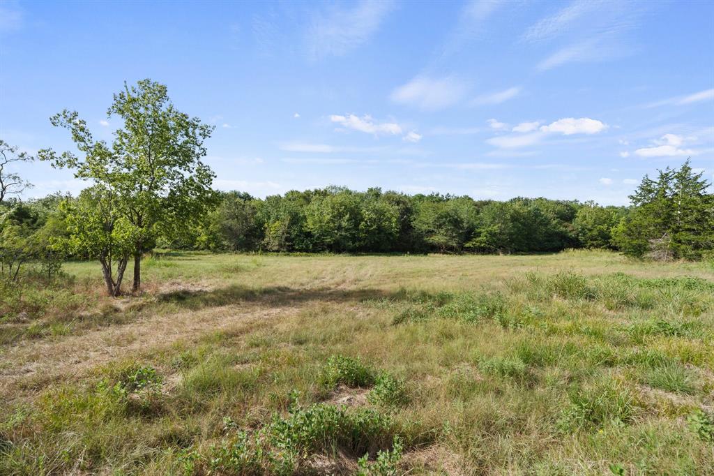 JAPNK Ranch - Farm