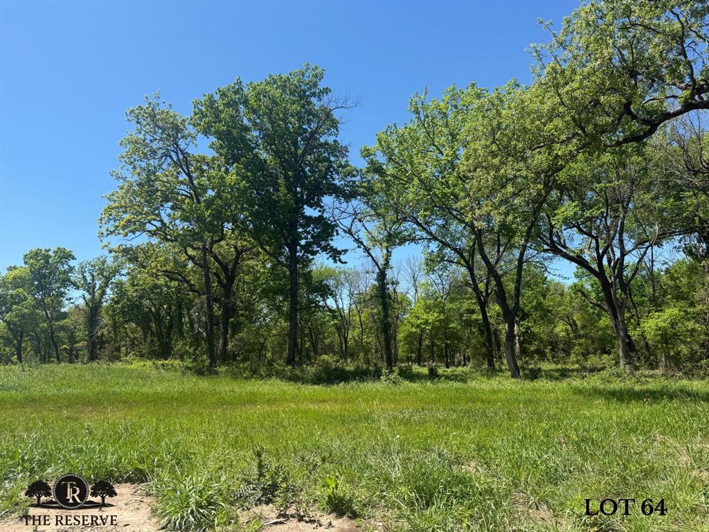 The Reserve at Taylor Ranch - Land