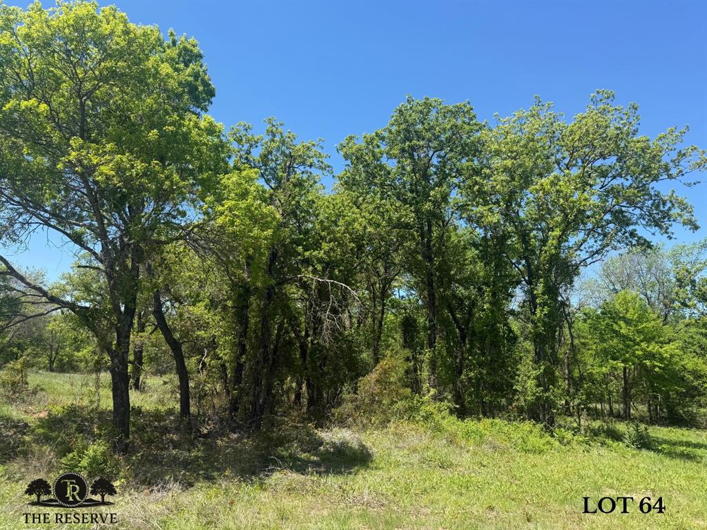 The Reserve at Taylor Ranch - Land