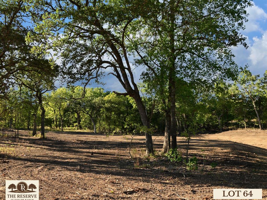 The Reserve at Taylor Ranch - Land