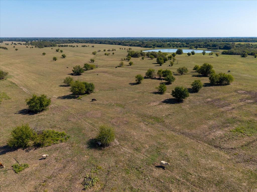 Bobst Ranch - Farm