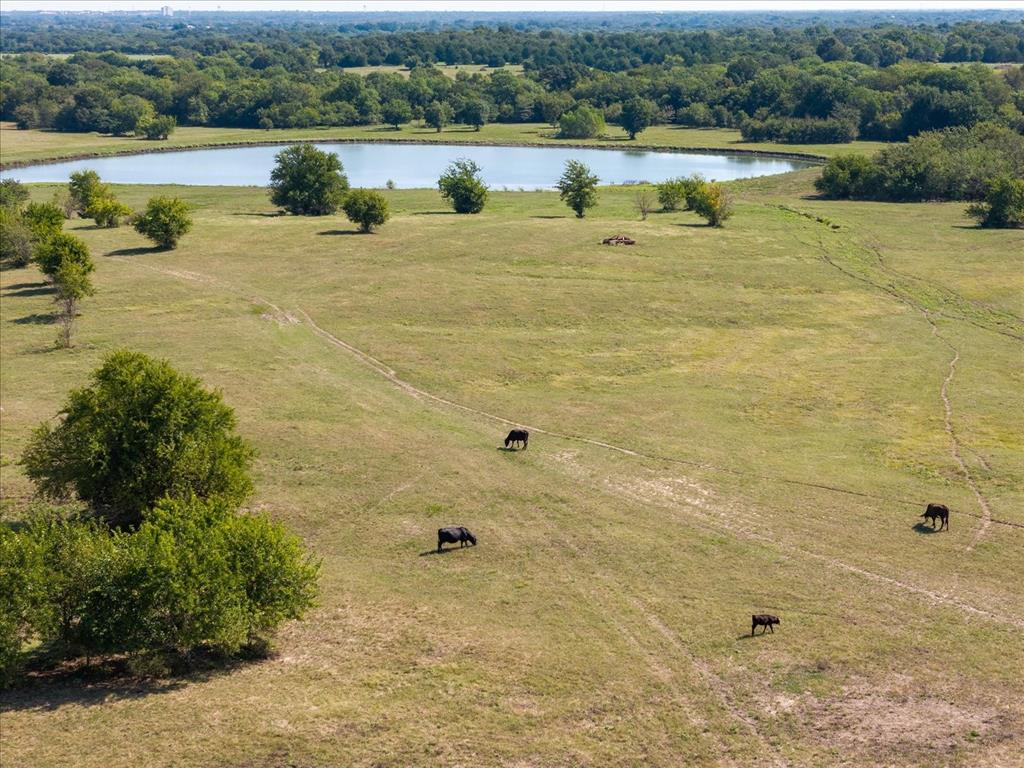 Bobst Ranch - Farm