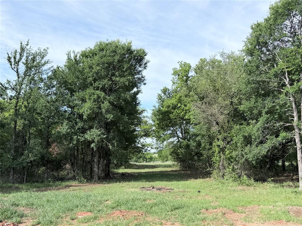One of the premier tracts in Lakewood Acres, this 6.675-acre lot is located within the city limits of Whitney and offers heavy tree cover, a potential tree-lined driveway, and a cleared interior build site. Enjoy views of Lake Whitney, along with City water, underground electric, a chip sealed road, and gated access. Deed restrictions mirror City of Whitney regulations. An exceptional estate-style homesite with abundant wildlife.