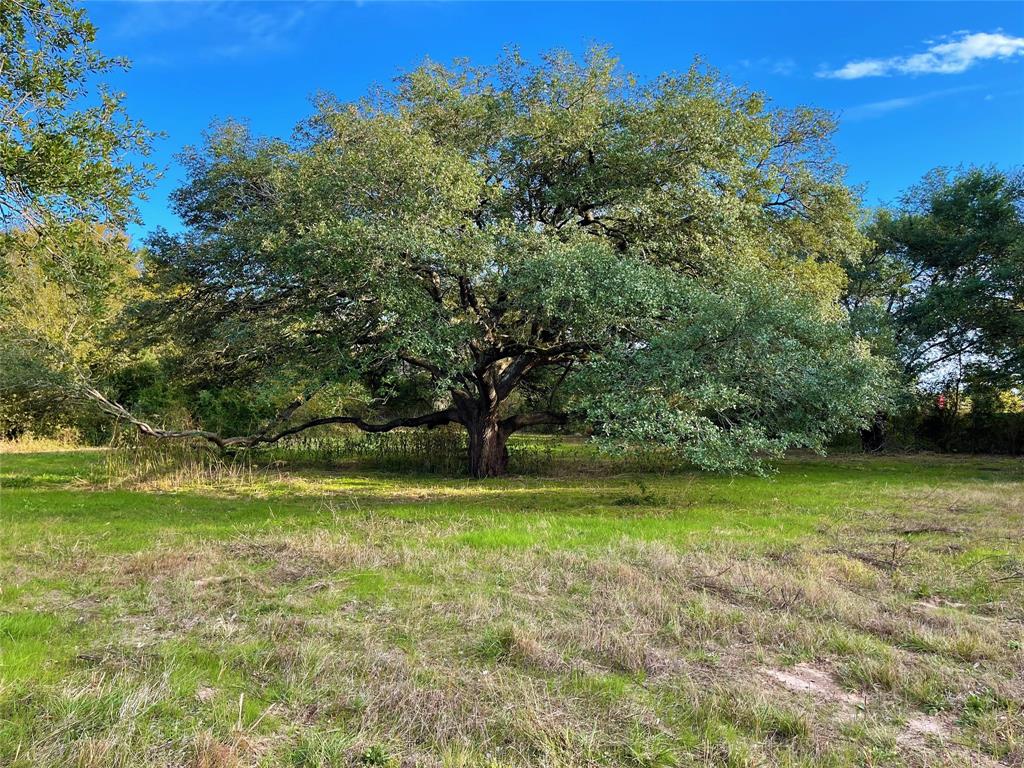 Country East III - Land