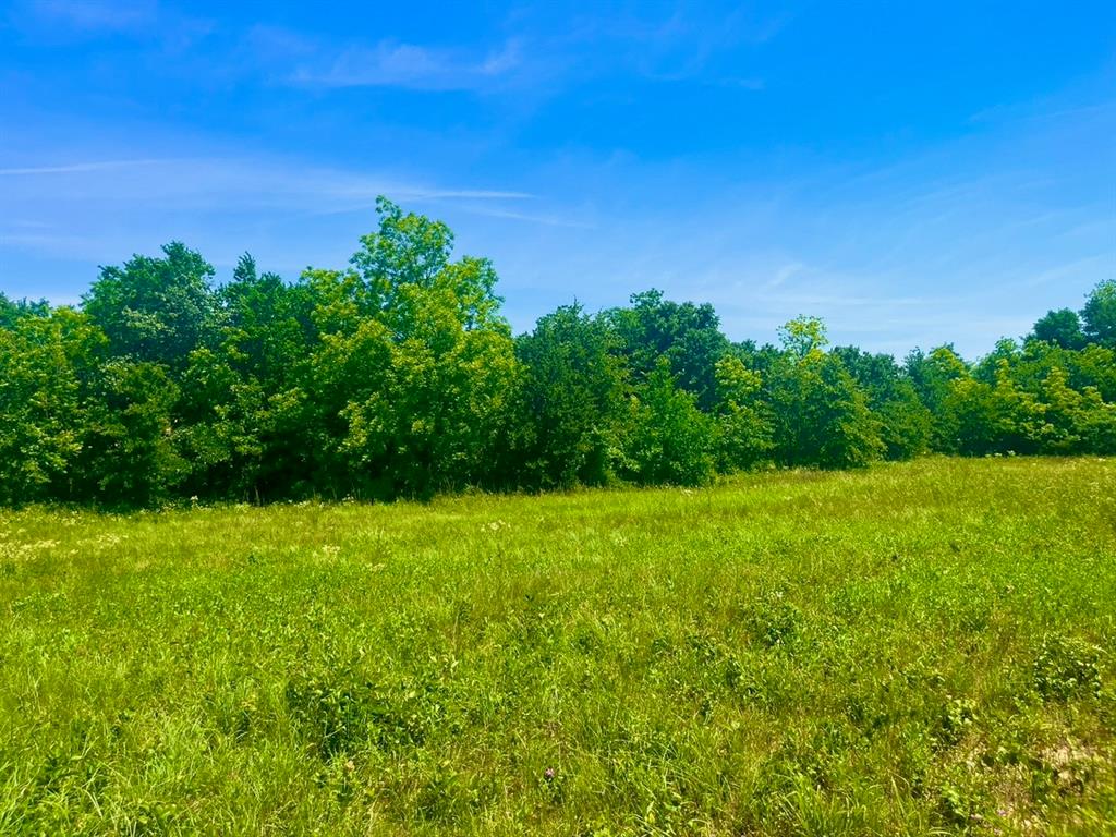 Sarra Ranch Estates - Land
