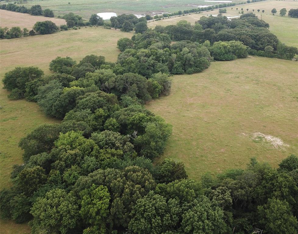 Quiet and peaceful 11 acres surveyed and ready to build your dream home, hunt, and run livestock. Quiet neighborhood with very few neighbors and low traffic.