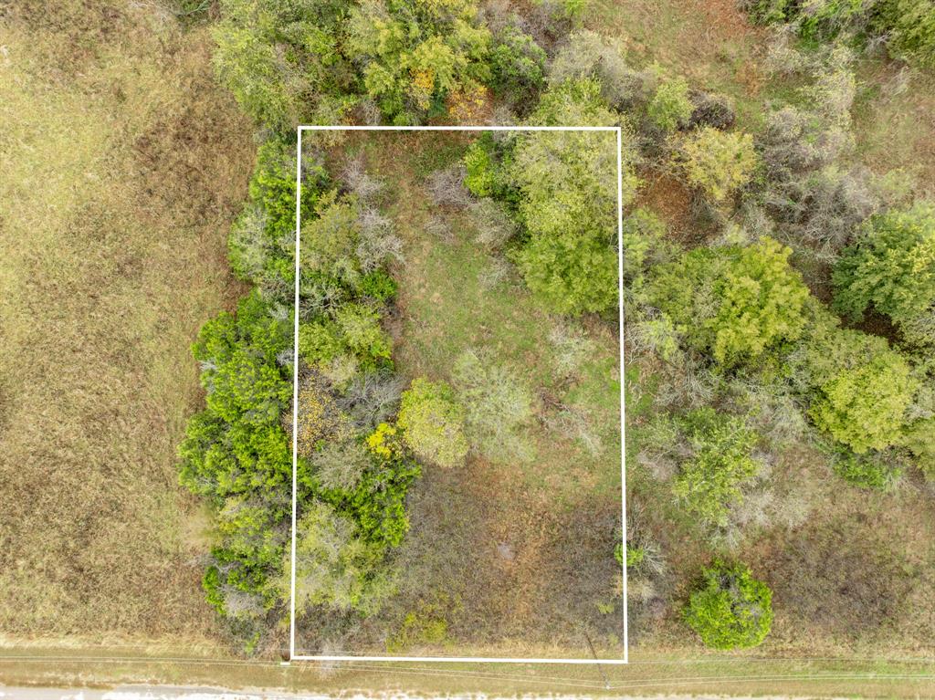 White Bluff #22 - Land