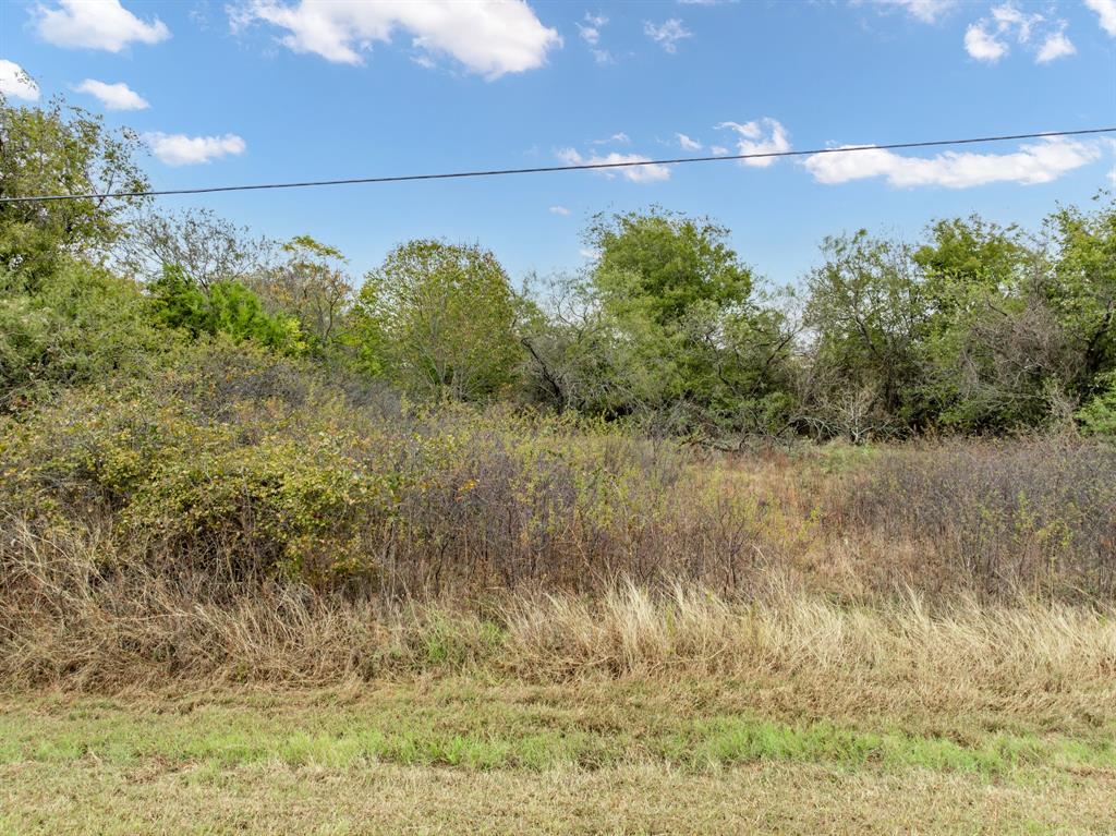 Come take a look at this gorgeous lot available in White Bluff Resort. You can enjoy fishing, picnicking, and kayaking just steps away from your property. Only an hour’s drive from both Dallas and Waco, making it a perfect place to build the home of your dreams or weekend getaway spot . You will enjoy living in this beautiful gated community with two award winning 18-hole golf courses! Amenities include 36 rounds of golf per year, restaurants, tennis and basketball courts, 4 pools, boat ramp, marina, fitness center, Spa, Hotel, cabins, 24 hour security and the breathtaking beauty of Lake Whitney.  Owner finance available!