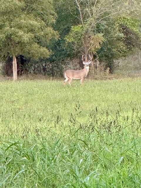 Walsh Ranch Quail Vly - Residential