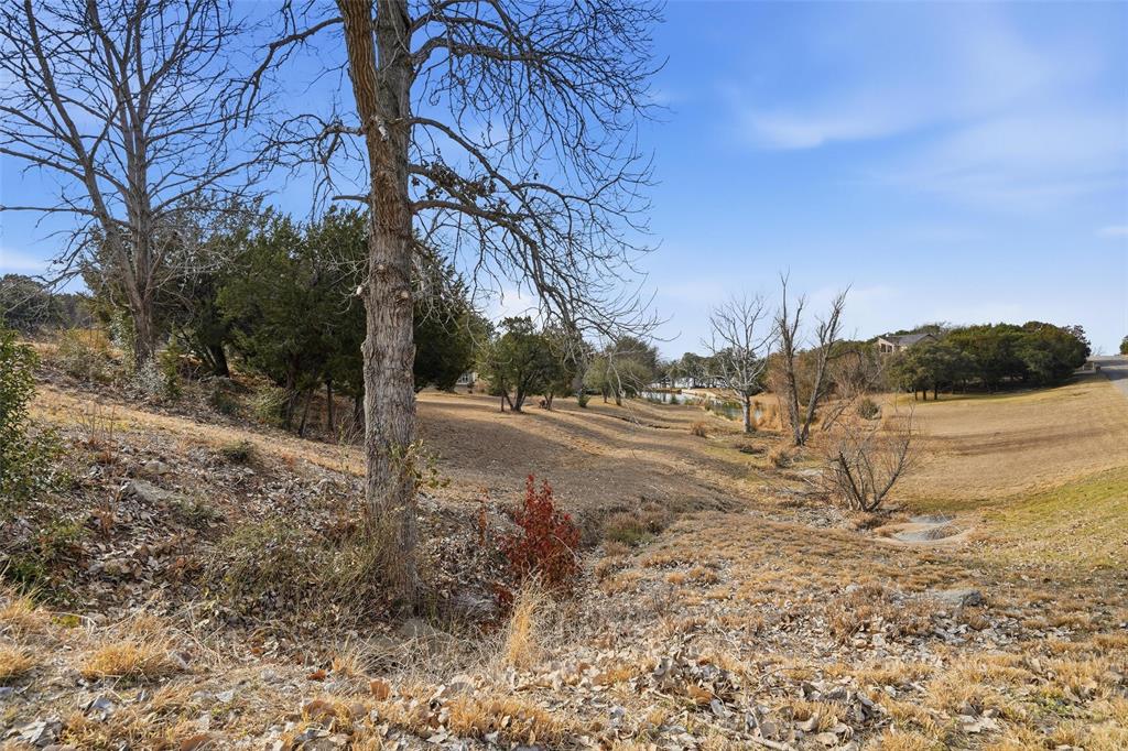 Mallard Pointe On Lake Granbury - Land