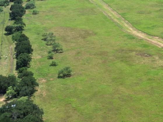 Barkwood Acres - Land