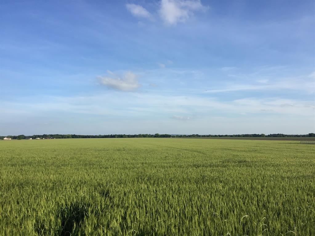 Amazing opportunity to own acreage just outside Grandview but within Grandview ISD.  Located about 4 miles from I-35W, this would be an excellent place to call home or invest in for future development.  It is currently divided into 2 tracts.  The first tract (parcel ID 126-0338-00040) is approximately 39.97 acres with frontage off CR 103.  The second tract (parcel ID 126-0338-00045) is also approximately 39.97 acres with frontage off FM 916.  Listing agent is also owner and willing to subdivide.  Buyers and buyers agent to verify all measurements, schools and zoning.  Mineral rights excluded. Land is currently being leased for farming, best access is gravel drive off CR 103, please do not drive on the rest of the land.