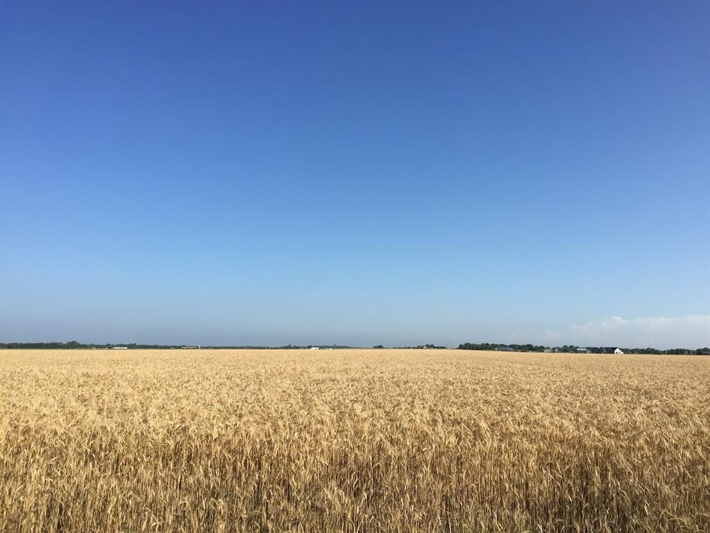 rural - Land