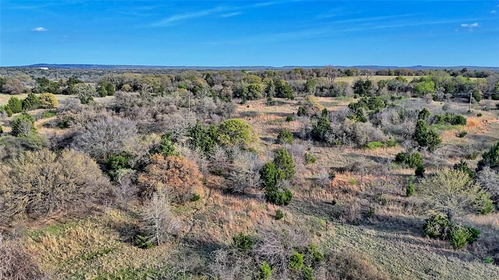 19.01 Acres, MEP&PRR Co. Survey, A- 522 - Land