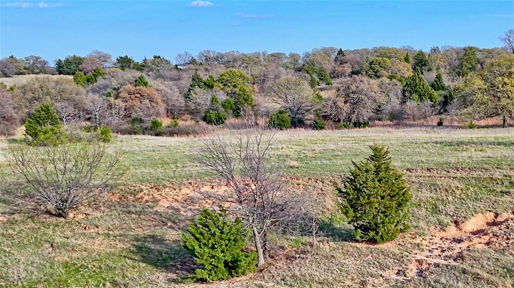 19.01 Acres, MEP&PRR Co. Survey, A- 522 - Land