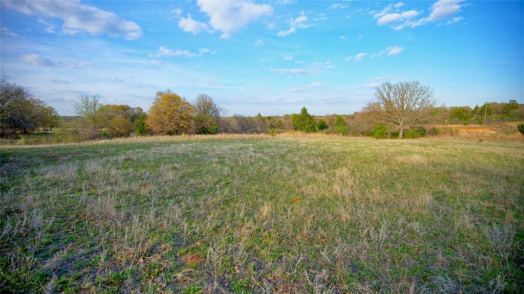 19.01 Acres, MEP&PRR Co. Survey, A- 522 - Land