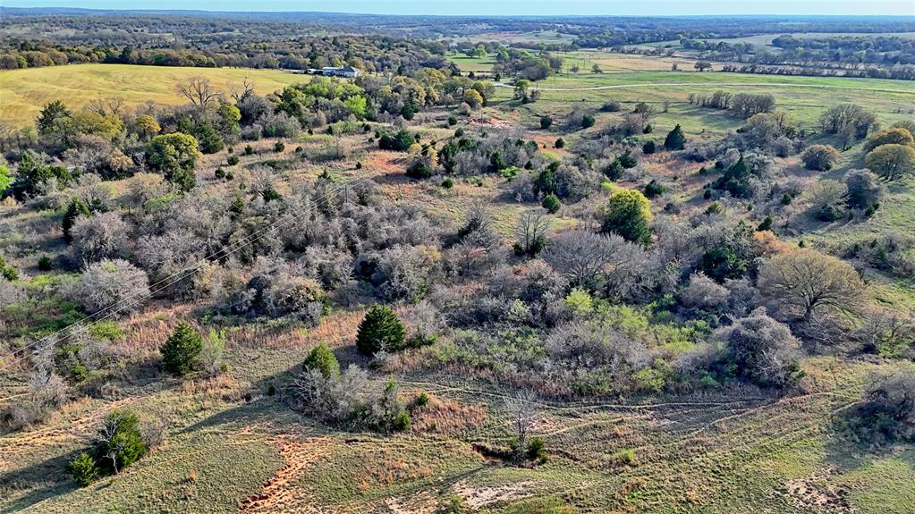 19.01 Acres, MEP&PRR Co. Survey, A- 522 - Land