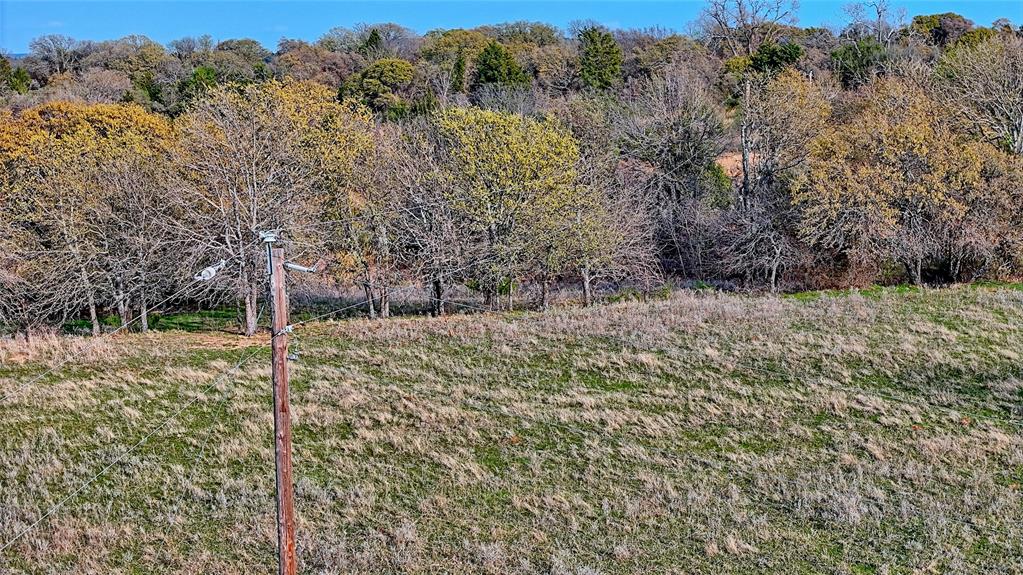 19.01 Acres, MEP&PRR Co. Survey, A- 522 - Land
