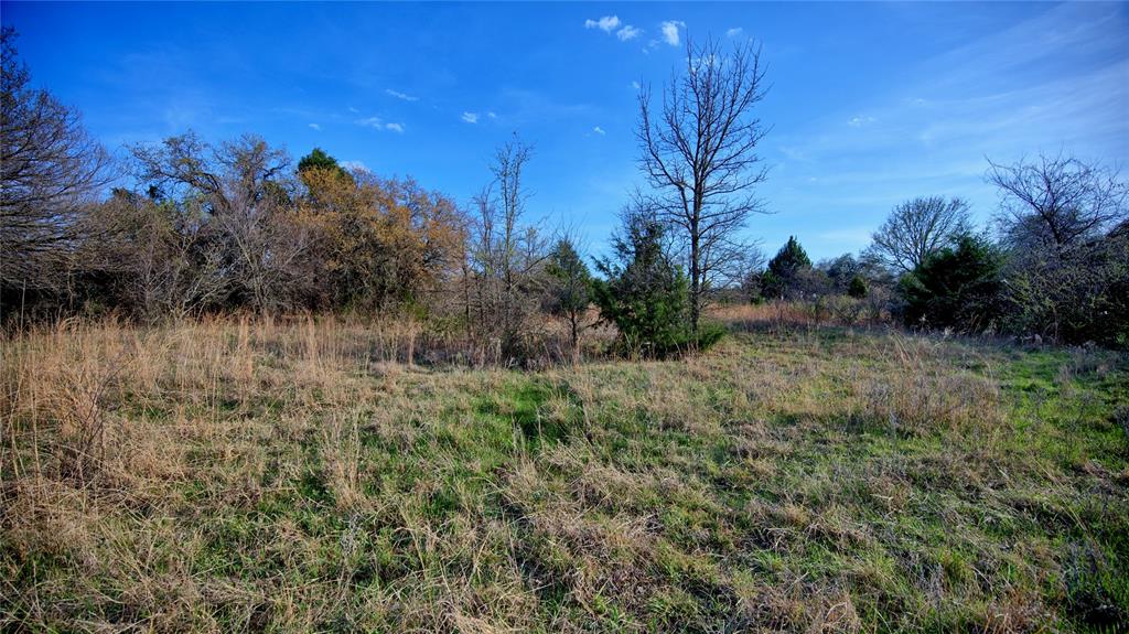 19.01 Acres, MEP&PRR Co. Survey, A- 522 - Land