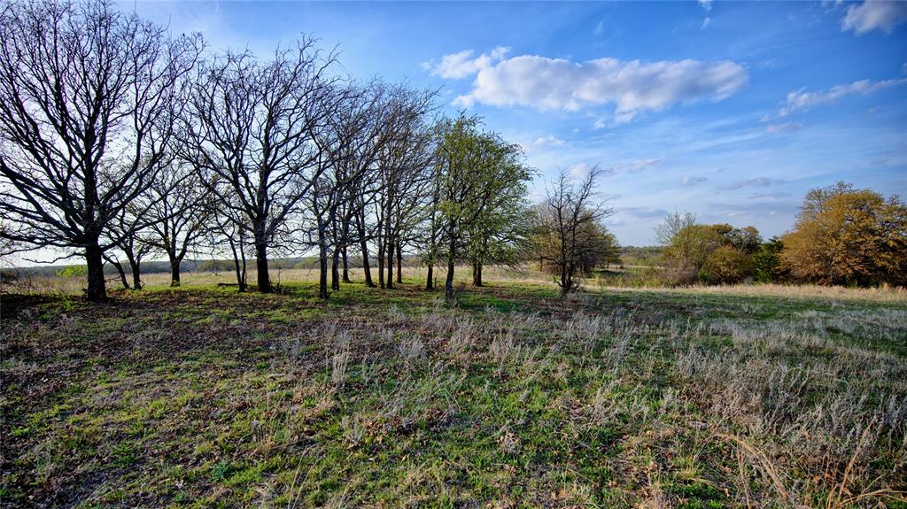 19.01 Acres, MEP&PRR Co. Survey, A- 522 - Land