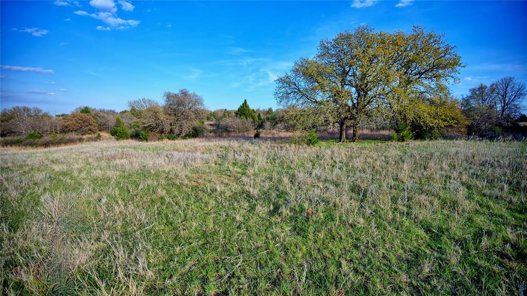 19.01 Acres, MEP&PRR Co. Survey, A- 522 - Land