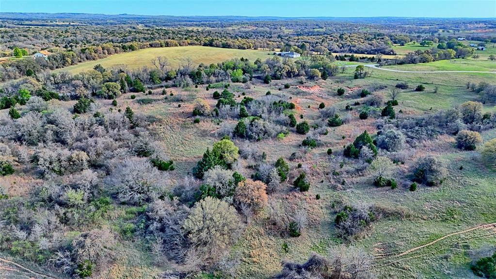19.01 Acres, MEP&PRR Co. Survey, A- 522 - Land