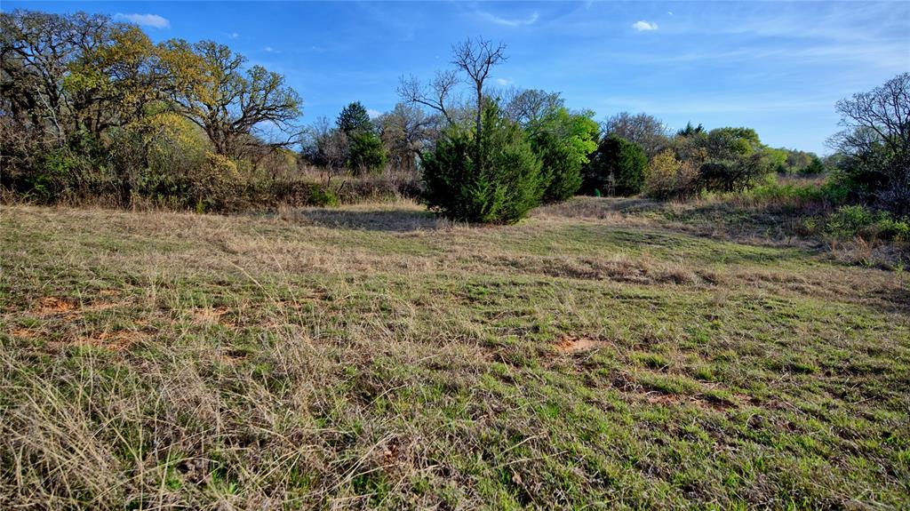 19.01 Acres, MEP&PRR Co. Survey, A- 522 - Land