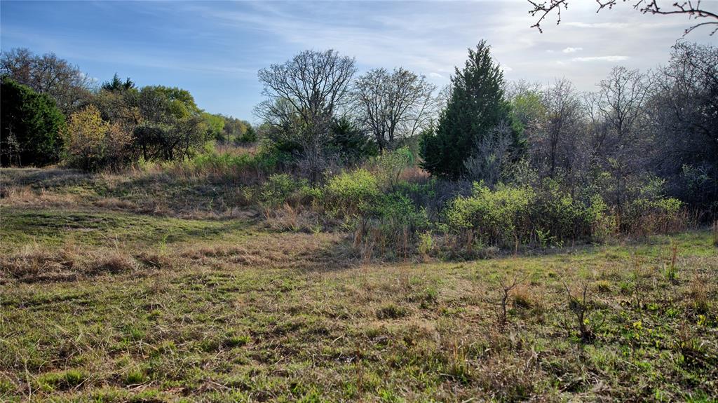 19.01 Acres, MEP&PRR Co. Survey, A- 522 - Land