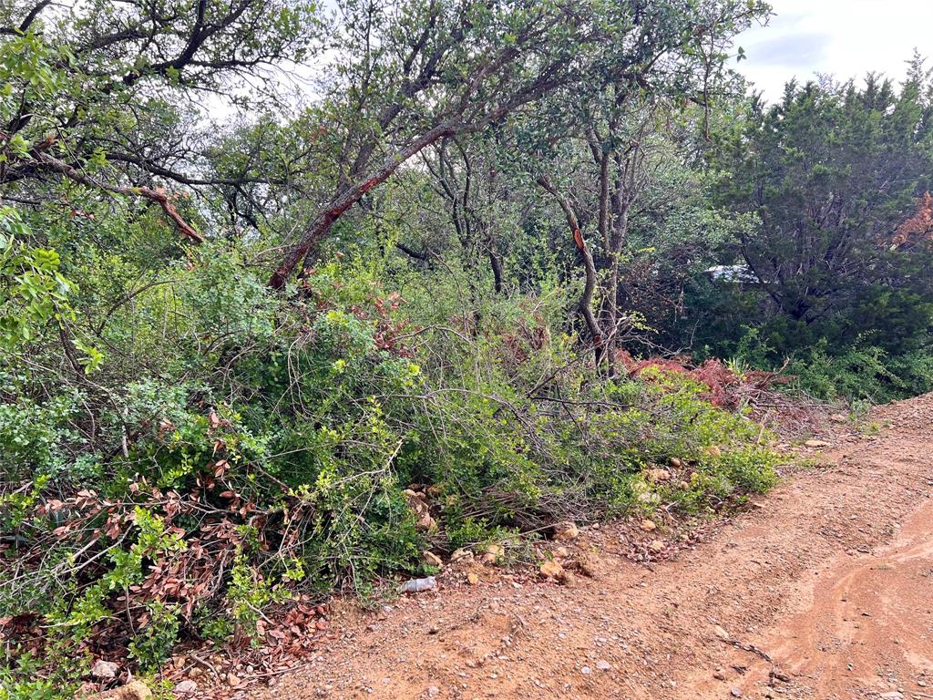 Lake Brownwood Shores - Land