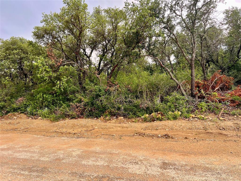 Looking for an RV lot near Lake Brownwood? Here is an excellent opportunity! This 30x132 tract offers a great blend of natural beauty and usability, featuring mature trees along with open, cleared areas ready for your setup. Utilities are available at the road. With good road access and a peaceful setting, this property is priced to sell.

Located just minutes from Lake Brownwood and only about 10 miles from Brownwood, you’ll enjoy quick access to dining, shopping, and everyday conveniences while still having the privacy and quiet of country living.

This flexible property can be used as a full-time residence, weekend getaway, RV site, or even an income-producing investment.

Don’t miss your chance, schedule your showing today, and explore the potential this property has to offer!