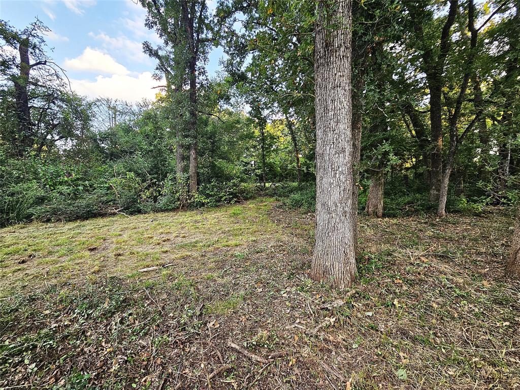 Country Place Estates Lake Limestone - Residential