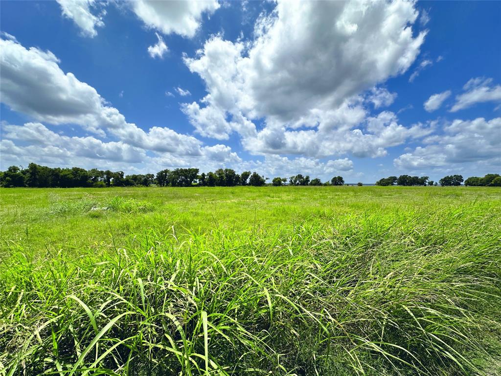 Grand Oasis - Land