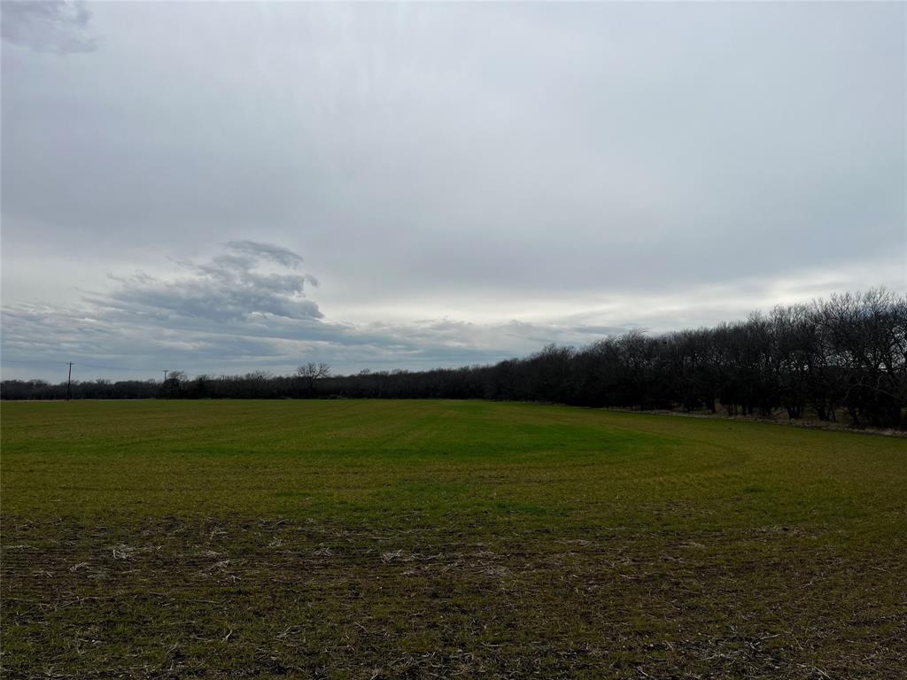 A0244 - Land