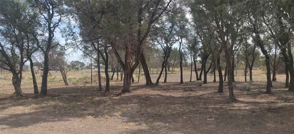 Bring your horses or cattle! Build your dream home on this beautiful 4 acre partially improved property in Weatherford! Feels as if you are in the country, but your only minutes from the interstate and Weatherford shopping, dining and attractions. Land has been cleared, but several stands of trees were preserved for future landscape efforts. Dirt brought in and leveled for pad site, ready for your new build. Very nice homes in this Addition with building restrictions. Entire frontage on FM51 has tall metal fencing and a large gate. Property perimeter is entirely fenced and posts are in to make a corral in the back right corner.  One cow or horse per acre. Oncor has already set the electric. Well & septic will need to be installed. Quick and easy access to Fort Worth. Info deemed reliable, but buyer and buyers agent to verify. ZONED SINGLE FAMILY.