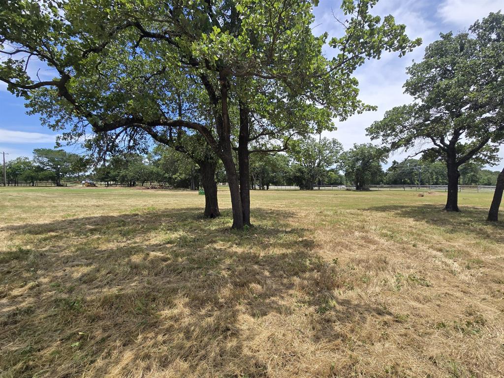 Wilson-Freeman - Land
