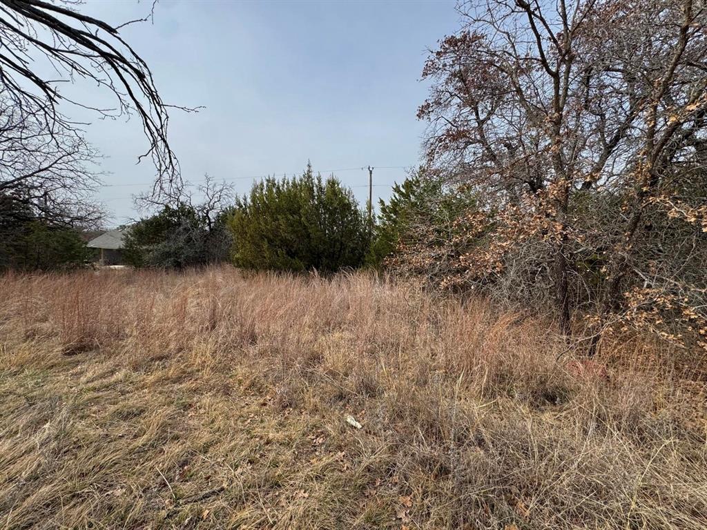 Lake Granbury Hbr Sec A - Land
