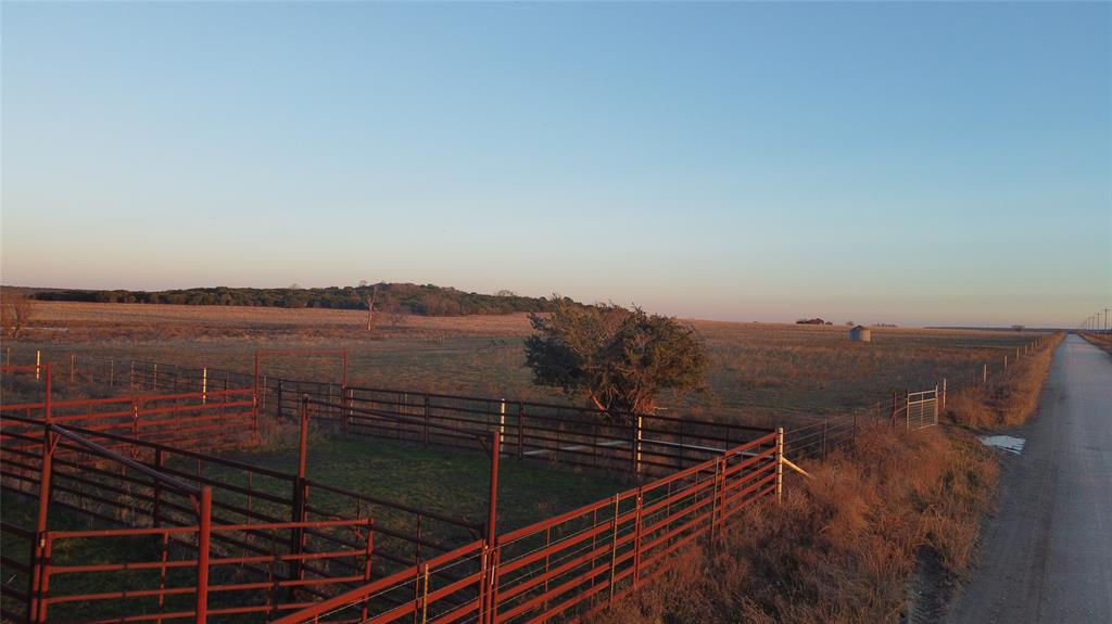Beene - Farm