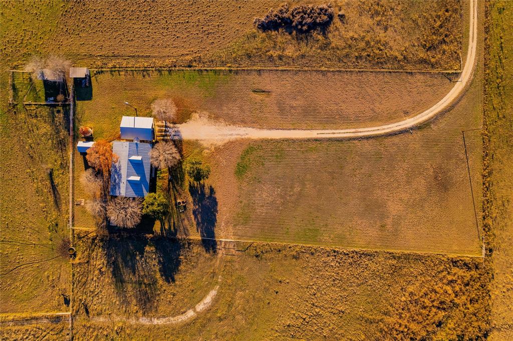 Beene - Farm