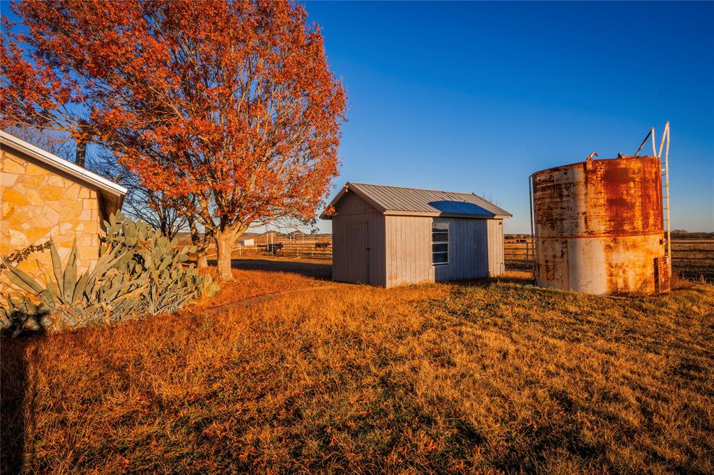 Beene - Farm