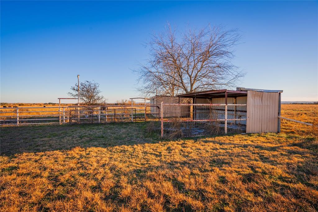 Beene - Farm