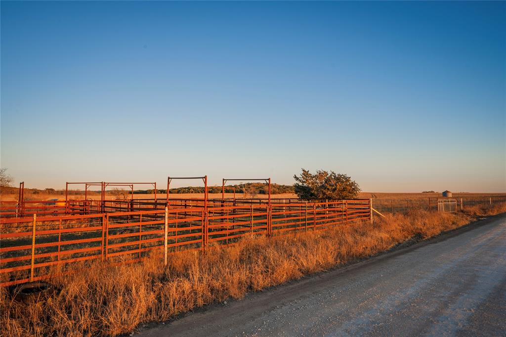 Beene - Farm