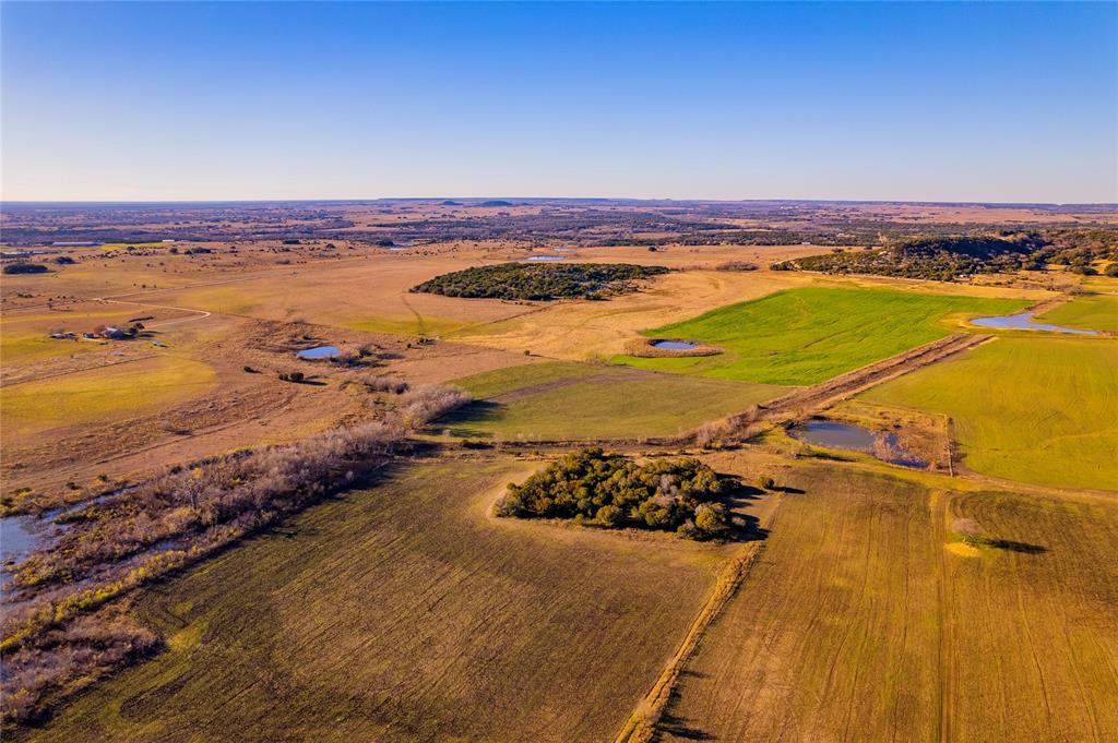 Beene - Farm